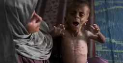 غزة.webp