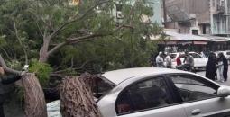 أمطار وسيول تضرب الشمال والساحل السوري