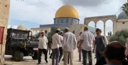 اقتحام سابق للأقصى.webp