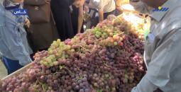 مهرجان العنب.jpg