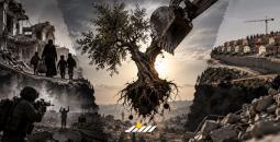 مشروع محو الضفة