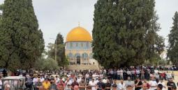 صلاة الجمعة في الأقصى