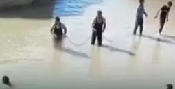 فيضانات الحسكة