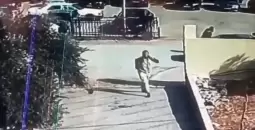 هجوم الكرك