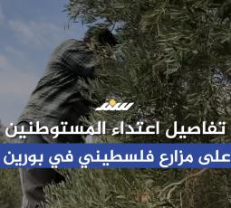 تفاصيل اعتداء المستوطنين على مزارع فلسطيني في بورين