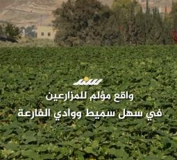 واقع مؤلم للمزارعين في سهل سميط ووادي الفارعة