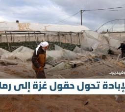 إنفوفيديو.. الإبادة تحول حقول غزة إلى رماد