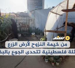 من خيمة النزوح لأرض الزرع.. عائلة فلسطينية تتحدى الجوع بالبذور