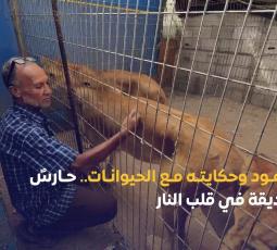 محمود وحكايته مع الحيوانات.. حارسٌ وحديقة في قلب النار