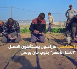 رغم المخاطر.. مزارعون يستأنفون العمل قرب 