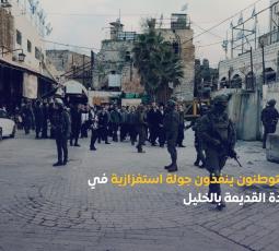 مستوطنون ينفذون جولة استفزازية في البلدة القديمة بالخليل