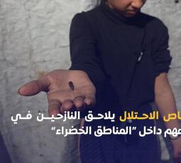 رصاص الاحتلال يلاحق النازحين في خيامهم داخل “المناطق الخضراء”