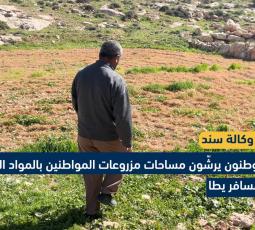 مستوطنون يرشّون مساحات مزروعات المواطنين بالمواد السامة في مسافر يطا