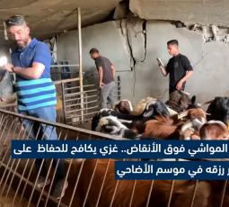 للإبقاء على مصدر رزقه.. 