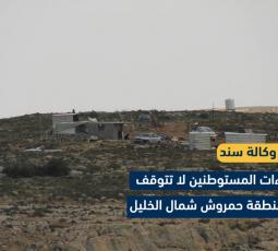 اعتداءات المستوطنين لا تتوقف في منطقة حمروش شمال الخليل