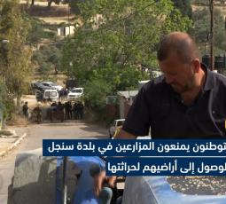 المستوطنون يمنعون المزارعين في بلدة سنجل من الوصول إلى أراضيهم لحراثتها