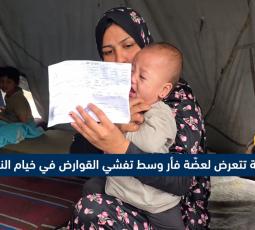 رضيعة تتعرض لعضّة فأر وسط تفشي القوارض في خيام النزوح بغزة