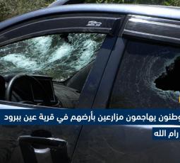 مستوطنون يهاجمون مزارعين بأرضهم في قرية عين ببرود شرق رام الله