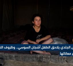 المرض الجلدي يلاحق أشجان السوسي.. وظروف النزوح تفاقم معاناتها