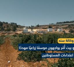 مزارعو بيت أُمّر يواجهون موسمًا زراعيًا مهددًا بفعل اعتداءات المستوطنين