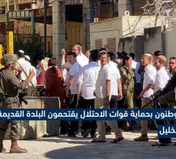 مستوطنون بحماية قوات الاحتلال يقتحمون البلدة القديمة في الخليل
