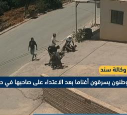 مستوطنون يسرقون أغناما بعد الاعتداء على صاحبها في حوارة جنوب نابلس