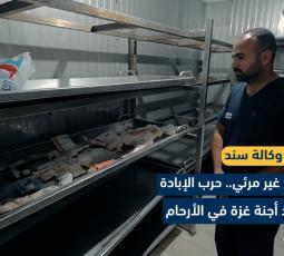 سلاح غير مرئي.. حرب الإبادة تطارد أجنّة غزة في الأرحام
