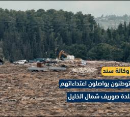 المستوطنون يواصلون اعتداءاتهم في بلدة صوريف شمال الخليل
