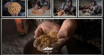 المعكرونة