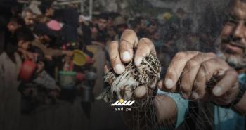 صيد العصافير