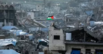 علم فلسطين.webp