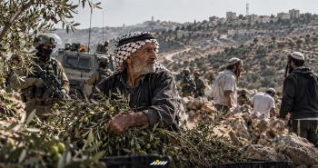 حصار موسم الزيتون