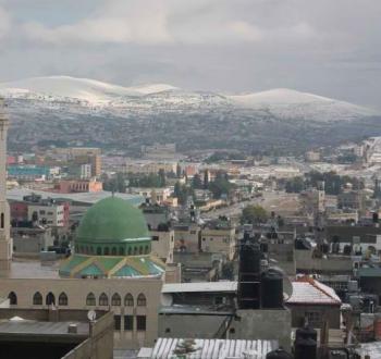 بلاطة00000.jpg