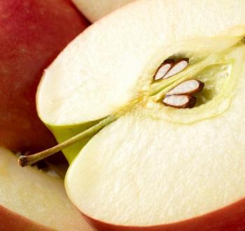 AppleSeeds-58e3a9f95f9b58ef7eb05d05.jpg