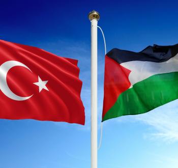 PalestineTurkeyFlags.jpg