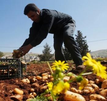اقتصاد فلسطين.jpg