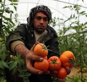 وزارة الزراعة.jpg