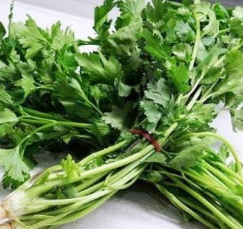 coriandar-parsley-10072014_448129_original.jpg