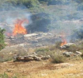 مستوطنون يضرمون النيران بأراضي الفلسطينيين