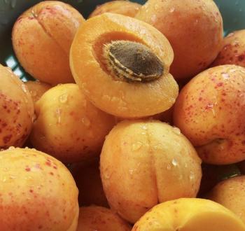 45-17-Laetrile-Amygdalin-or-Vitamin-B-17-as-an-Alternative-Cancer-Cure-1200x675.jpeg