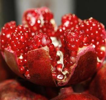 الرمان.jpg