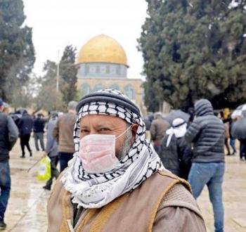 كورونا فلسطين.jpg
