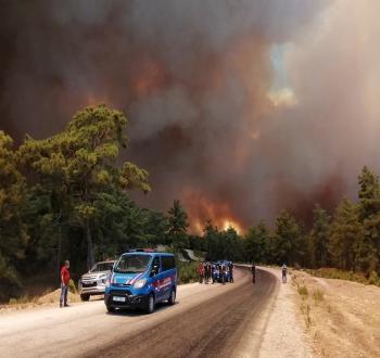 Turkey_Wildfire_71510.jpeg