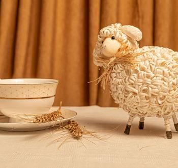 أفكار توزيعات عيد الأضحى للأطفال