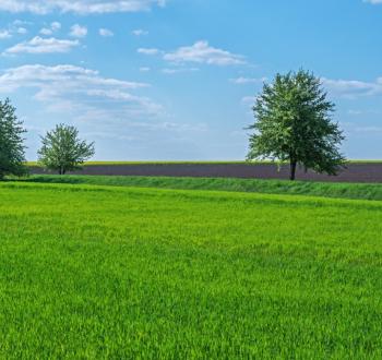 istock-1328933351-1024x678.jpg