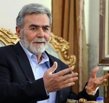 نخالة.jpg