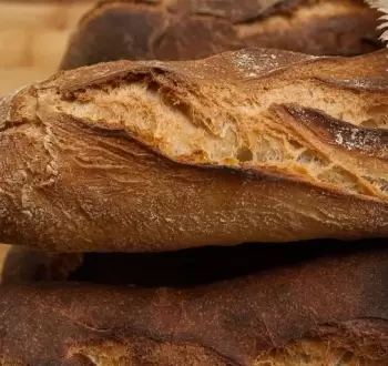 bread-g9c137f412_1280.webp