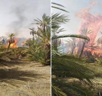 حرائق.jpeg
