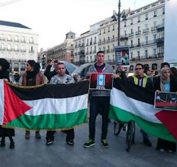 وقفة في بلجيكا