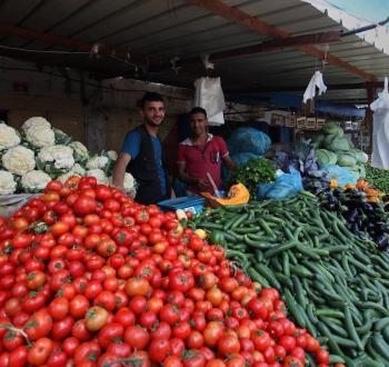 الخضروات في فلسطين